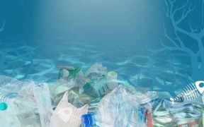 SEAFOOD UNFAIRLY SINGLED OUT IN MICROPLASTICS DEBATE