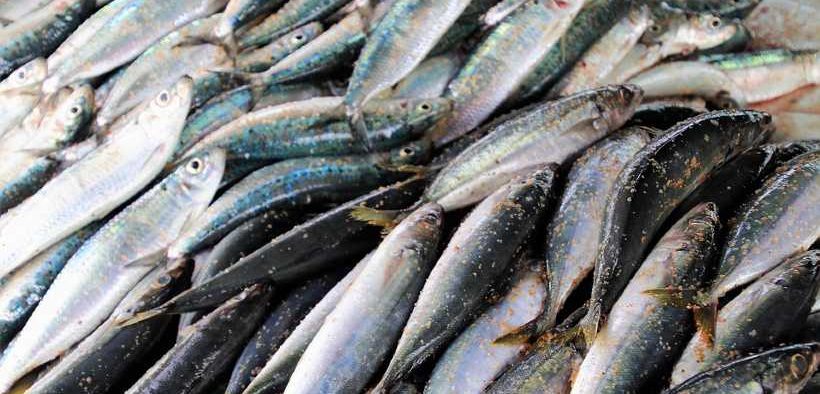 DON’T BE CAUGHT OUT