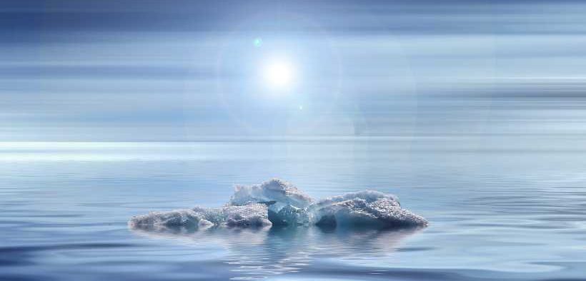 GLOBAL FOOD SECURITY AND SPECIES SURVIVAL AT RISK