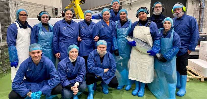 LAXEY COMPLETES FIRST HARVEST