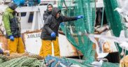 NEW GUIDANCE ISSUED TO SUPPORT FISHING INDUSTRY EMPLOYERS
