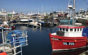 SCOTTISH FISHERIES MANAGEMENT PLANS