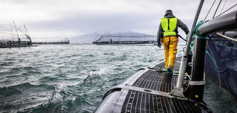 SCOTTISH SALMON DELIVERS £1 BILLION BOOST TO ECONOMY