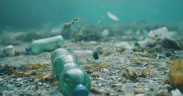 EBFA WELCOMES NEW EU LIMITS ON SEAFLOOR LITTER
