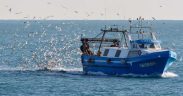 EU FISHERIES WARN OF JOB RISKS