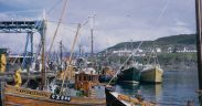 FISHING FLEET IN JEOPARDY