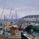 FISHING FLEET IN JEOPARDY