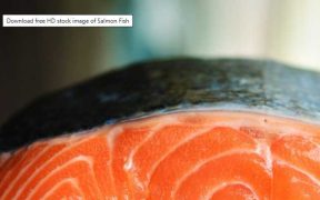 FOOD EXPORTS TO THE EU DROP BY ALMOST A QUARTER