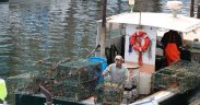 KEY ADVICE FOR SEAFOOD EXPORTERS