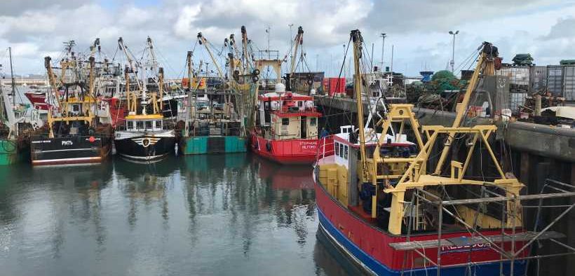 NEW MANAGEMENT PLANS TO SAFEGUARD FISHERIES