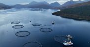 SCOTTISH SALMON SECTOR WELCOMES SOUTH KOREA (1)