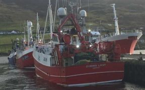 CARMICHAEL CALLS ON GOVERNMENT TO REVIEW
