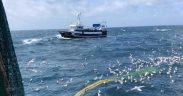 CO-DESIGNED SEABIRD BYCATCH TRIAL
