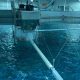 FIRST WATER REDEFINING SALMON FARMING4