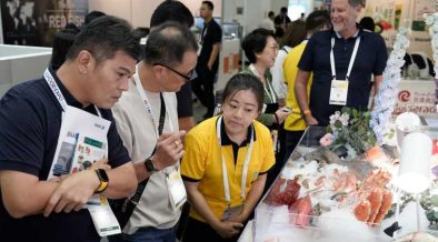 GLOBAL SEAFOOD SUPPLY CHAIN TO RETURN