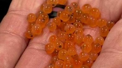 INNOVASEA DEGASSING SYSTEM