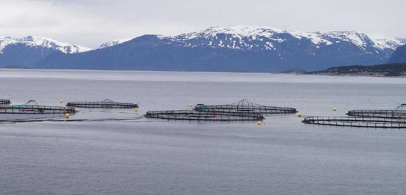 INNOVAFEED ANNOUNCES VALIDATION OF ITS ENVIRONMENTAL DATA