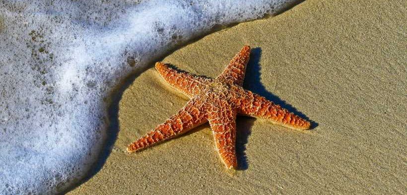 MBA WELCOMES PASSING OF THE BIODIVERSITY