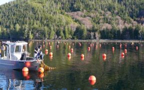 NEW ATLAS IDENTIFIES POTENTIAL OPPORTUNITIES FOR AQUACULTURE