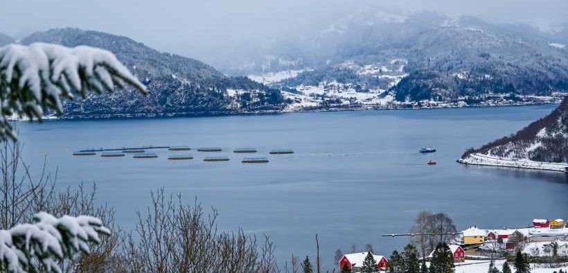 ODE INCREASES ITS INVESTMENT IN SUBMERSIBLE COD FARMING