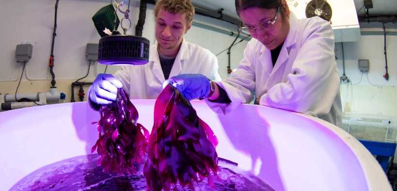 SCIENTISTS MAKE BREAKTHROUGH IN SURVIVAL RATE