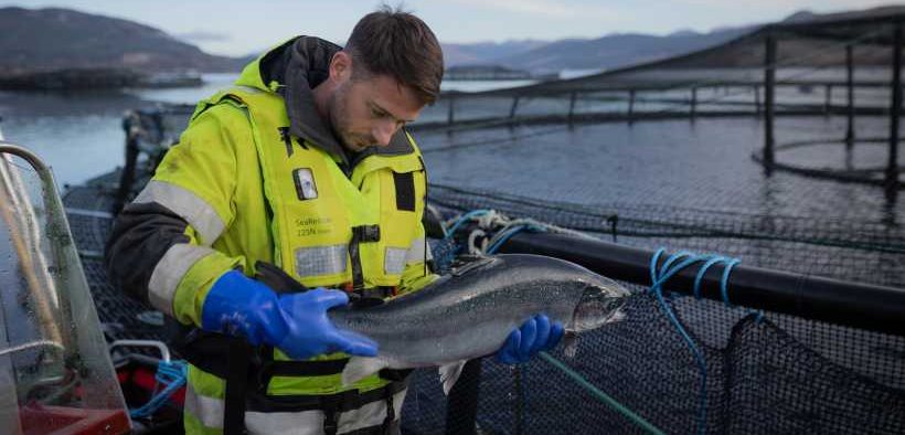 SCOTTISH SALMON POISED FOR £130M INDIA BOOST