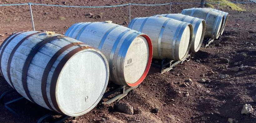 Where Earth Shapes Spirit MOSI’s Weathered Gin Experiment