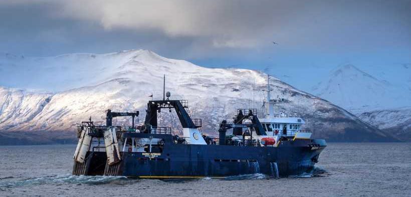 ALASKA POLLOCK FISHERY RECERTIFIED SUSTAINABLE