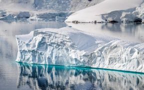 Antarctic Coalition Objects to MSC Certification of Antarctic Krill Fishery