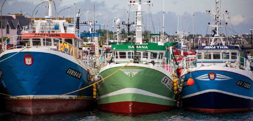 EUROPEAN FISHING SECTOR CALLS FOR URGENT EU ACTION