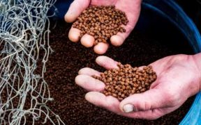 GDST SIGNALS NEXT PHASE AHEAD OF BOSTON EXPO