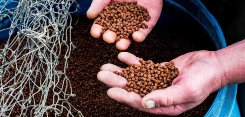 GDST SIGNALS NEXT PHASE AHEAD OF BOSTON EXPO