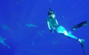 GRACE CARR MARINE BIOLOGIST