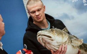 HAALAND AND NORWEGIAN SEAFOOD EXTEND PARTNERSHIP