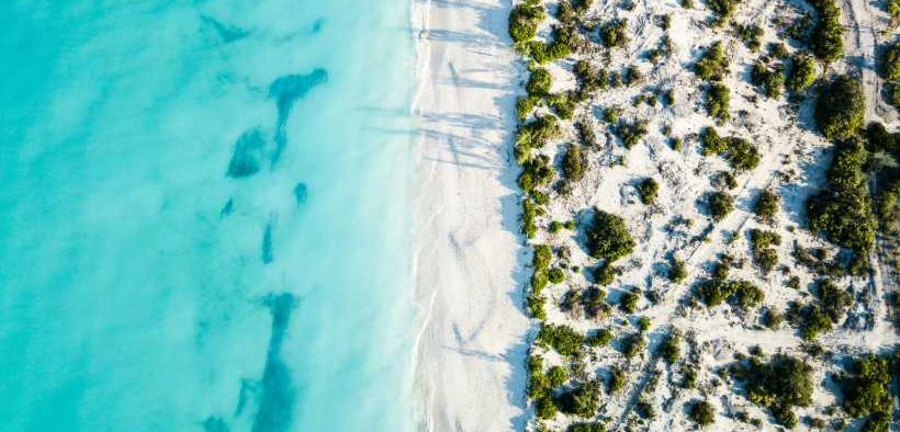 NEW ROADMAP LAUNCHED TO HELP FUTURE-PROOF OCEAN MANAGEMENT