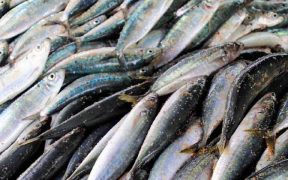 RURAL AFFAIRS SECRETARY RESPONDS