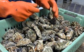 SFPA ISSUES UPDATED FOOD SAFETY INFORMATION NOTICE