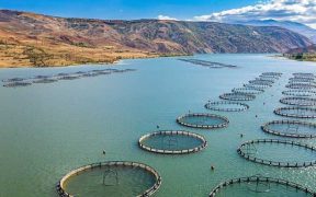 SHAPING RESPONSIBLE AQUACULTURE