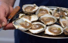 SHELLFISH EVENT IN LONDON