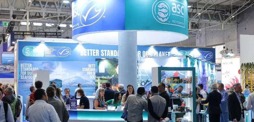 ASC HIGHLIGHTS INDUSTRY MOMENTUM