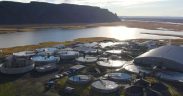 CFLOW ESTABLISHES OPERATIONS IN ICELAND
