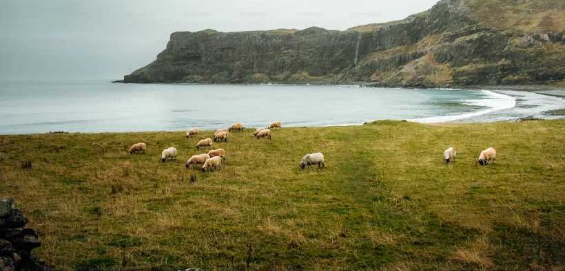 DEATH OF WELL-KNOWN SHETLAND FISHERMAN