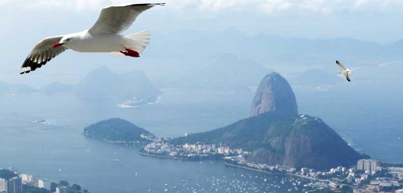 FROM TREATY TO REALITY