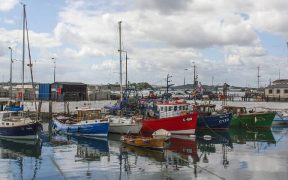 Fishing master fined for fishing for shrimp during the closed season