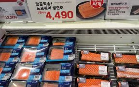 INCREASED SALMON VOLUMES AND HIGH WILD FISH PRICES