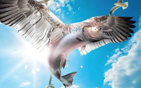 INNOVAFEED REPORTS UNEXPECTED PERFORMANCE BREAKTHROUGH