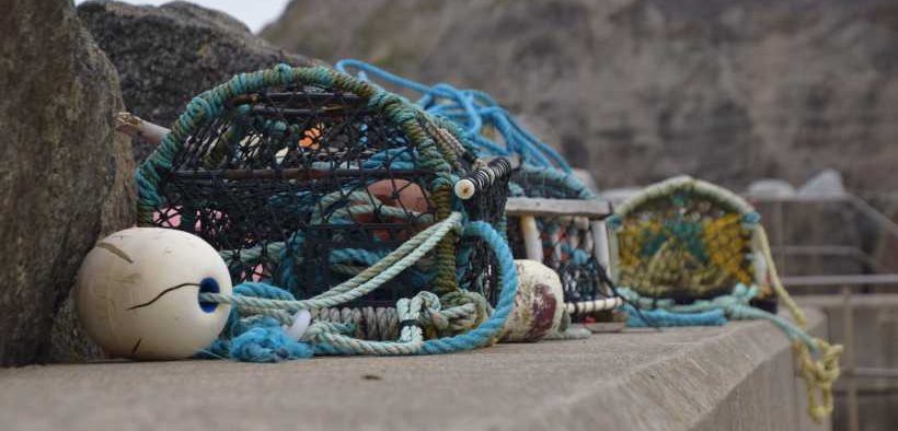 MMO AND NIFCA JOINT ENFORCEMENT OPERATION RESULTS