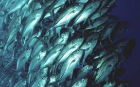 REFLECTING ON A DECADE OF MEASURABLE PROGRESS