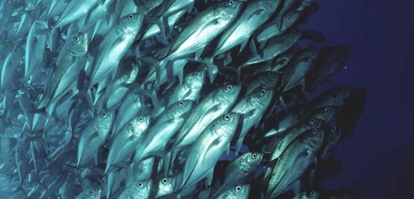 REFLECTING ON A DECADE OF MEASURABLE PROGRESS