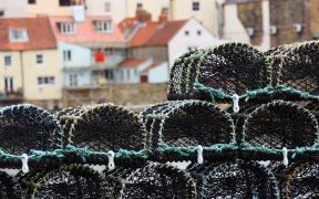 Scientists urge regulators to factor new evidence